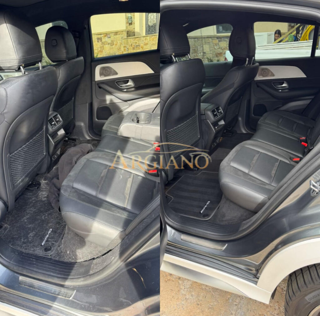 pet-hair-removal-detailing